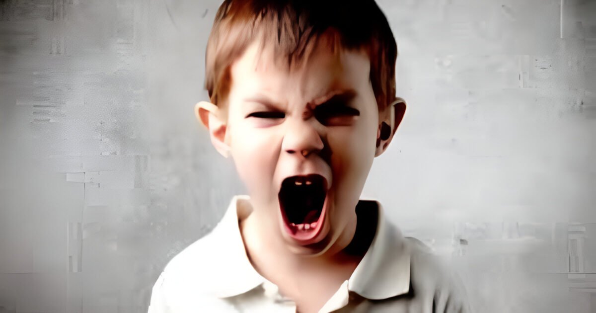 aggressive behavior in children Credit Google